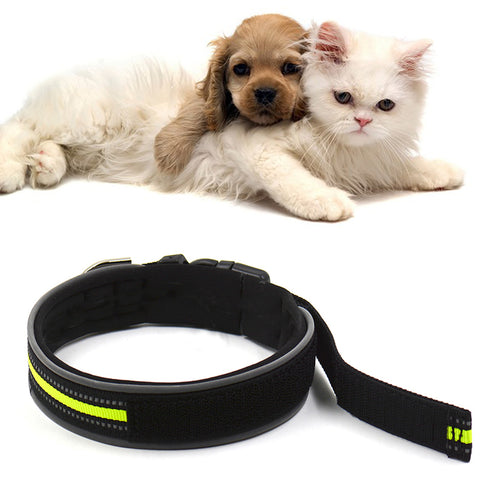 Adjustable Labrador Dog Collar