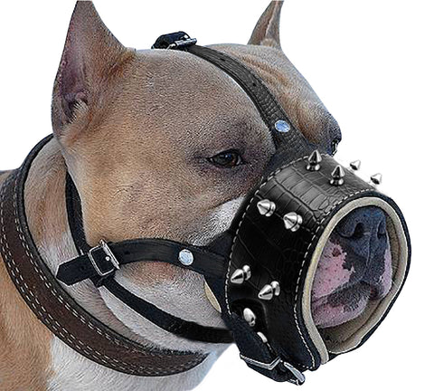 Anti-bite Padded Muzzle