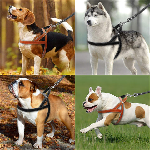 Adjustable Sturdy Dog Harness