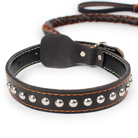 Durable Leather Dog Leashes