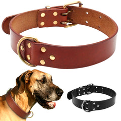 Sturdy D ring & Buckle Dog Collars