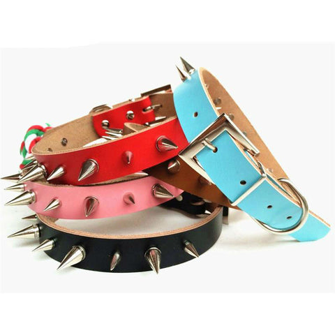 Leather Spiked Dog Collar