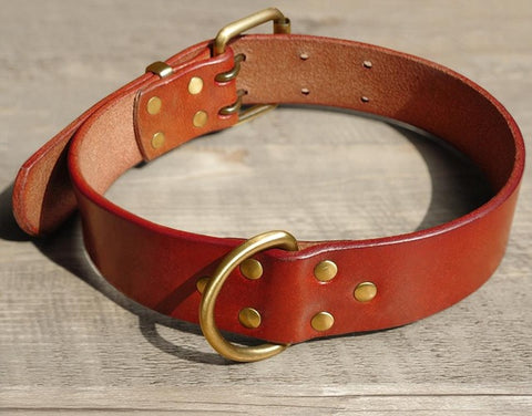 Sturdy D ring & Buckle Dog Collars